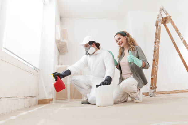 Best Water Damage & Mold Remediation  in Amelia, LA